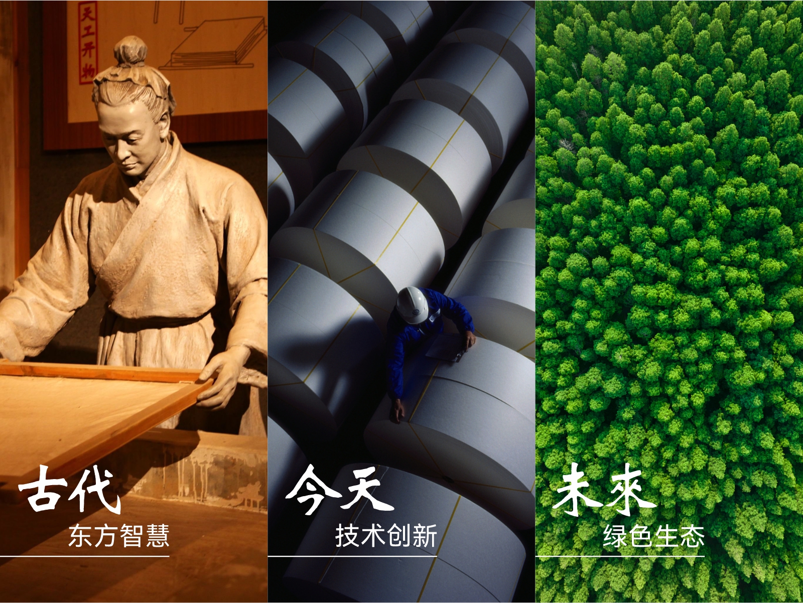 东方智慧